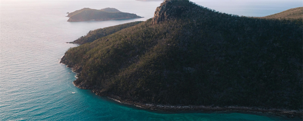Great Barrier Reef koraal