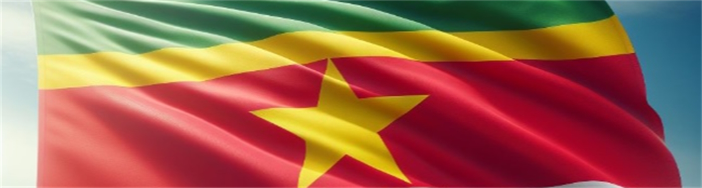 Suriname e-visum