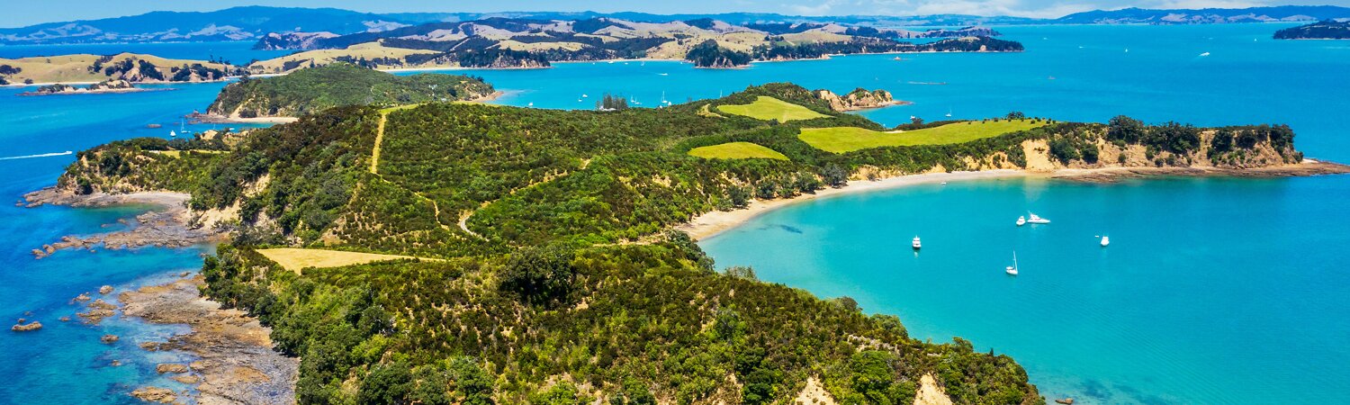 Auckland 1