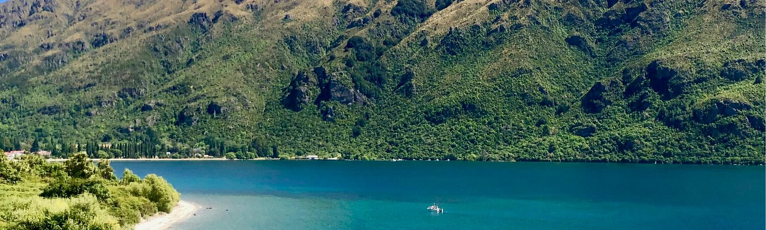 Queenstown 1
